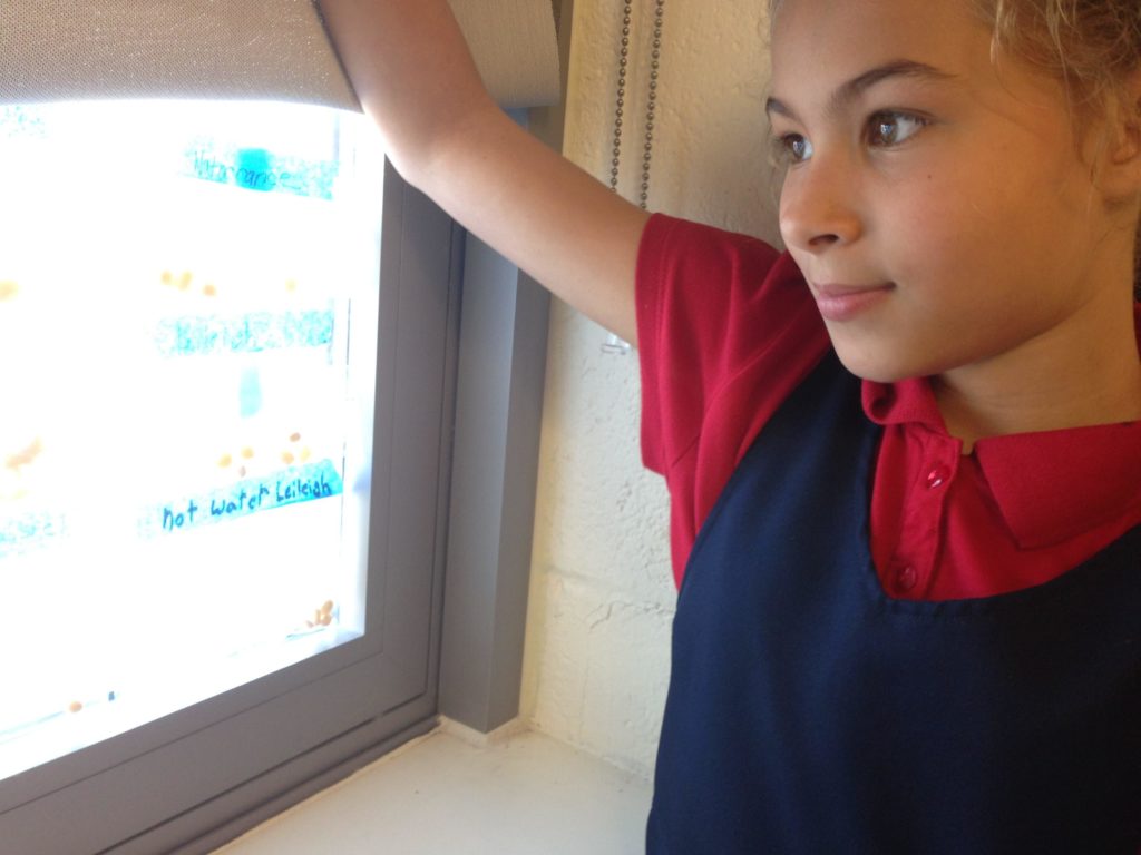 A student tutee with the DC STEM program looks confidently at a computer screen.