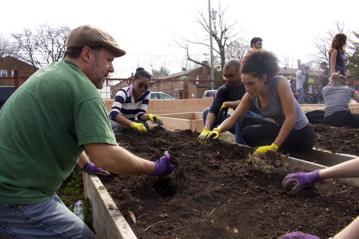 Digging in the dirt