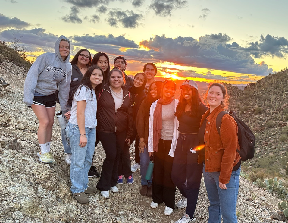 Hoyas on a hillside at sunset on an immersion